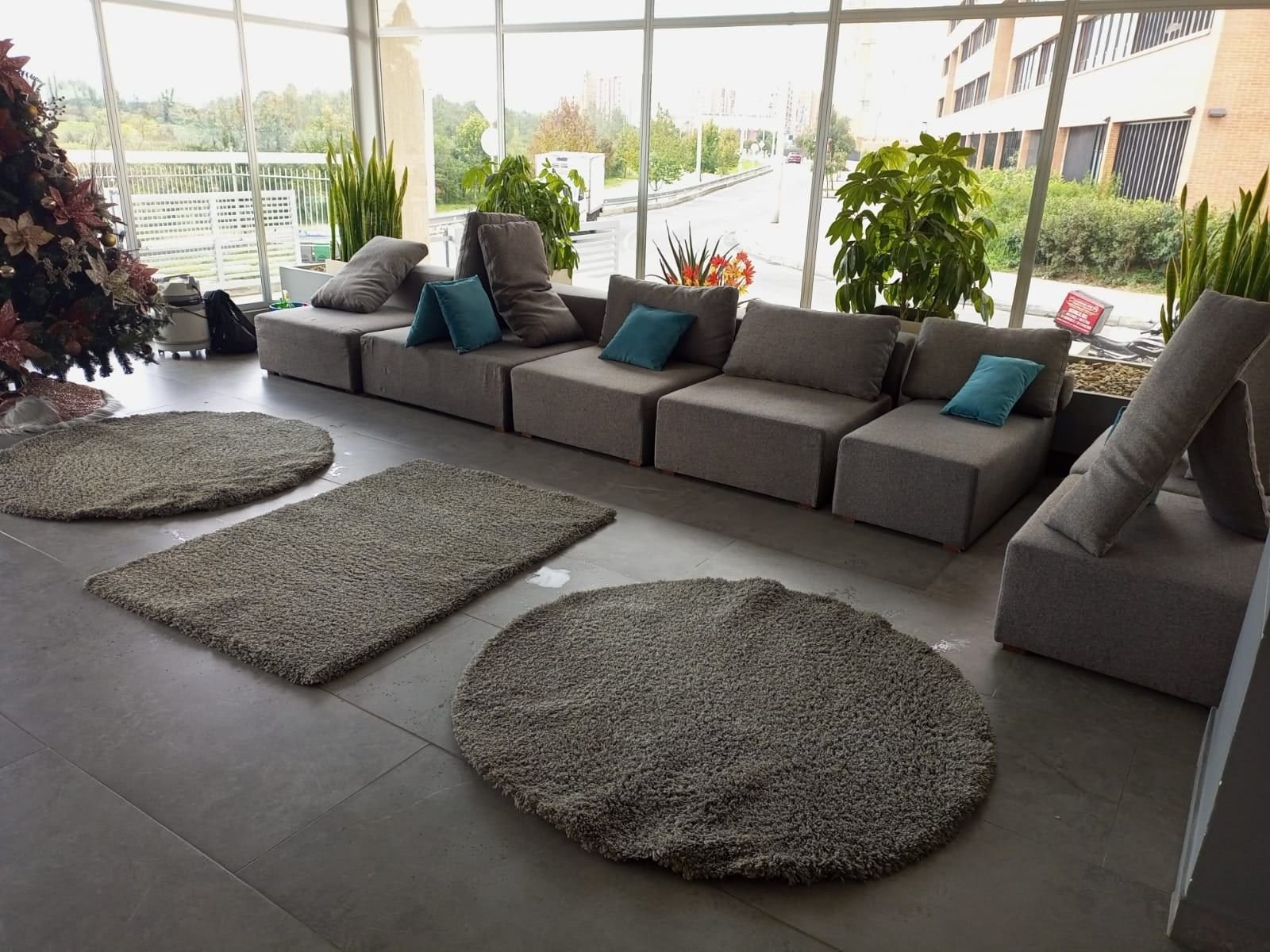 Muebles y tapetes de un área social después de la limpieza